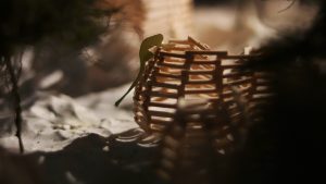 Brooding image of a model of a rainforest-based cultural center
