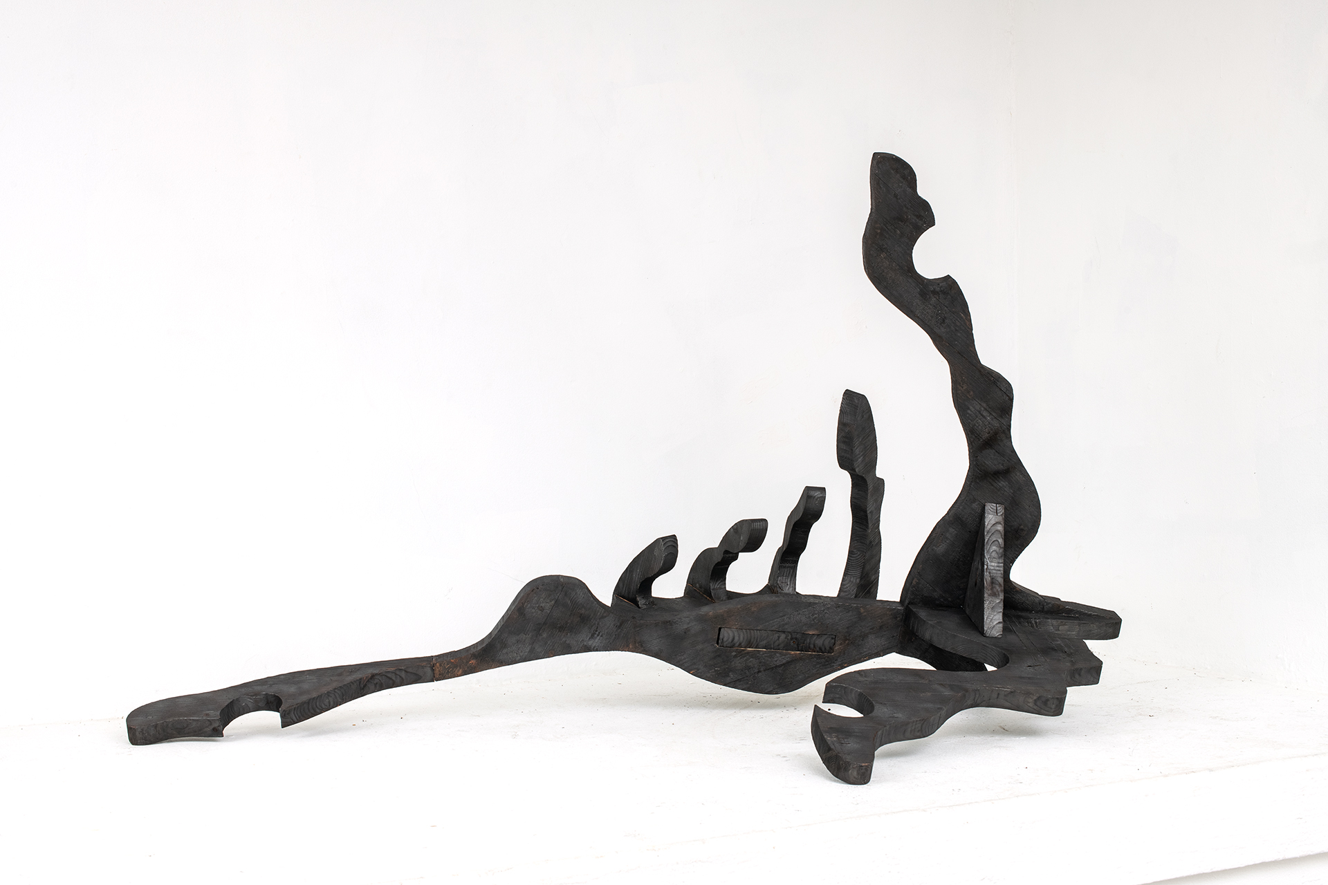 A black biomorphic sculpture made of wood, reminiscent of a ribcage