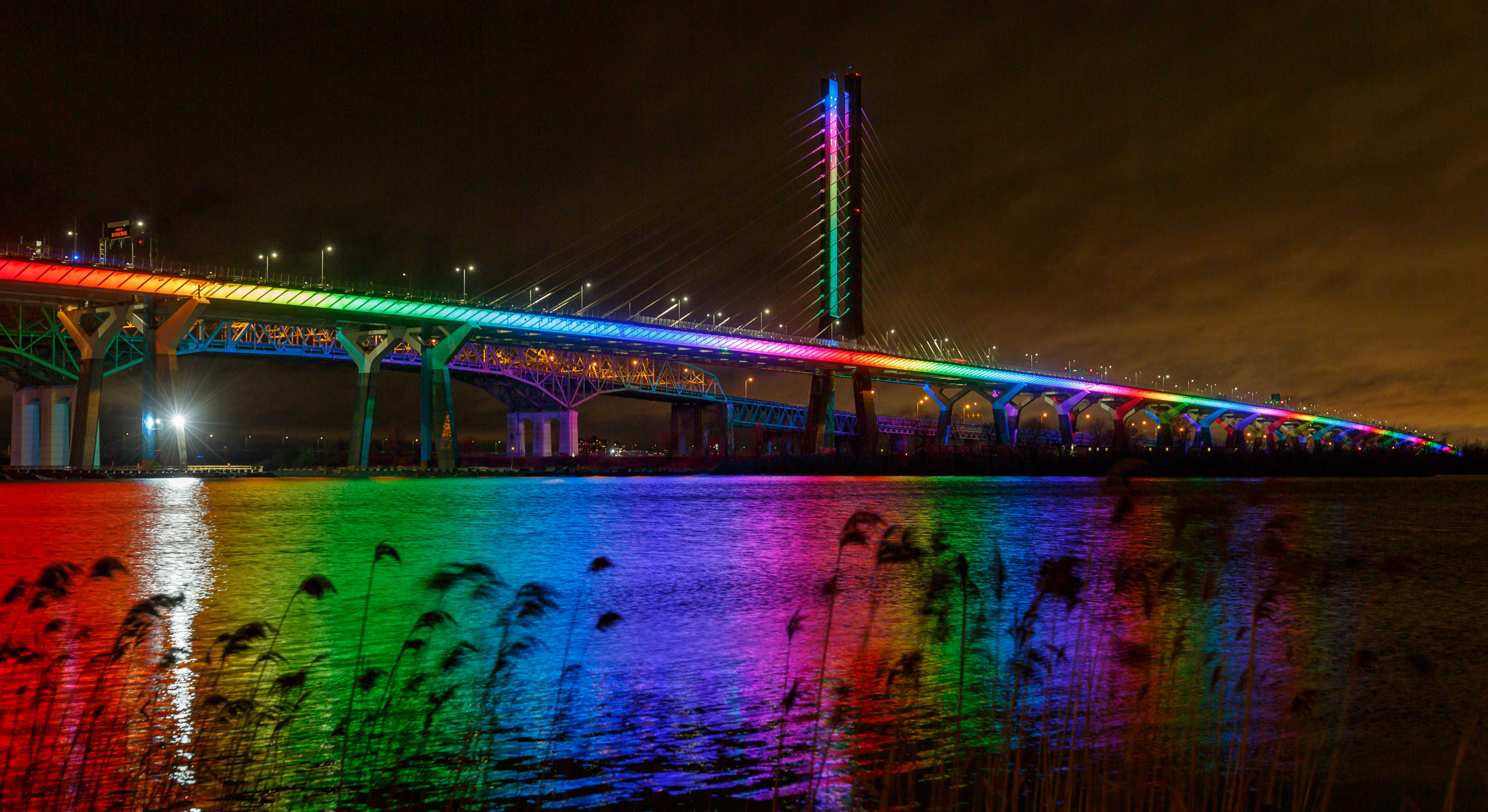 bridge at night with weeds in front