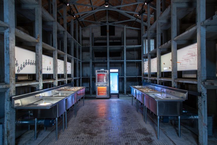 Installation view of Aki's work. There is a row of metal sinks along the left and right walls. There is light illuminating from the sink basins. At the opposite end of the room is a lit-up industrial oven and fridge.