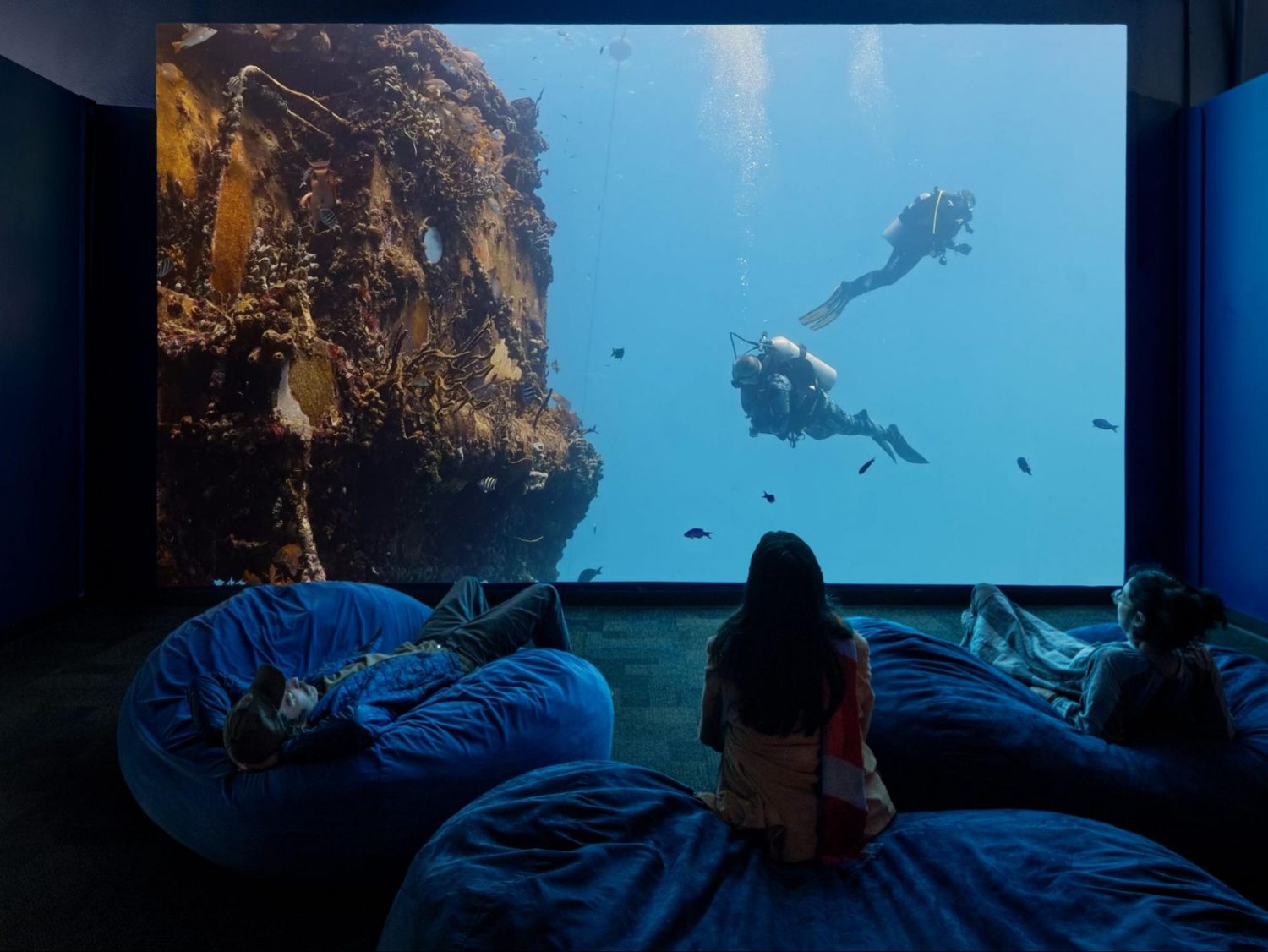 Meditation Ocean Constellation, Meditation Ocean: Aquarius Reef Base, installation view at the Birch Aquarium at Scripps Institution of Oceanography. Photo: Philipp Rittermann